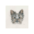 Eddie (Yorkie 1) by Mercana Studio a Hand Embellished Textured Canvas by Mercana at Eve Furniture