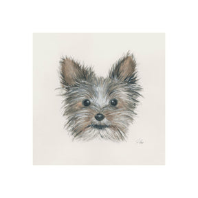 Eddie (Yorkie 1) by Mercana Studio a Hand Embellished Textured Canvas by Mercana at Eve Furniture