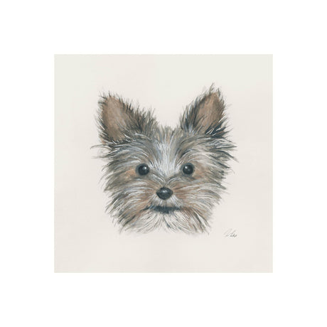 Eddie (Yorkie 1) by Mercana Studio a Hand Embellished Textured Canvas by Mercana at Eve Furniture