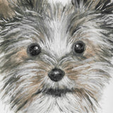 Eddie (Yorkie 1) by Mercana Studio a Hand Embellished Textured Framed Art Print Matted under Glass by Mercana at Eve Furniture