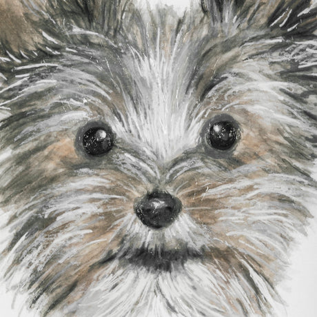 Eddie (Yorkie 1) by Mercana Studio a Hand Embellished Textured Framed Art Print Matted under Glass by Mercana at Eve Furniture