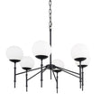 Edie Matte Black Metal w/ Frosted Glass Globes 6-Light Chandelier by Mercana at Eve Furniture