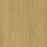 Edwards Natural 4-Panel Room Divider Folding Shoji Screen by Coaster at Eve Furniture