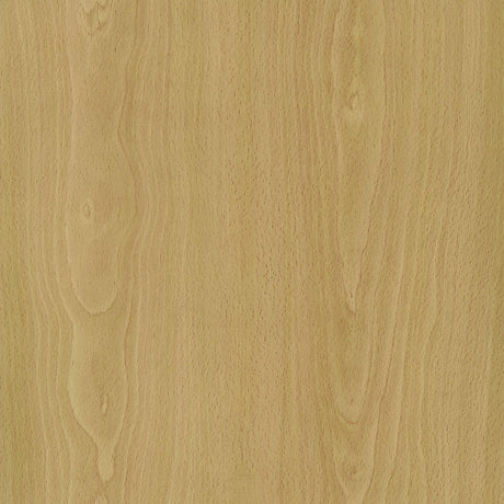 Edwards Natural 4-Panel Room Divider Folding Shoji Screen by Coaster at Eve Furniture