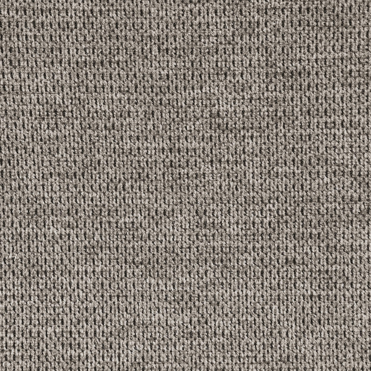 Elison Light Brown Counter Height Bar Stool (Set of 2) by Coaster at Eve Furniture