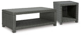 Elite Park Gray Cocktail Table and End Table by Ashley at Eve Furniture
