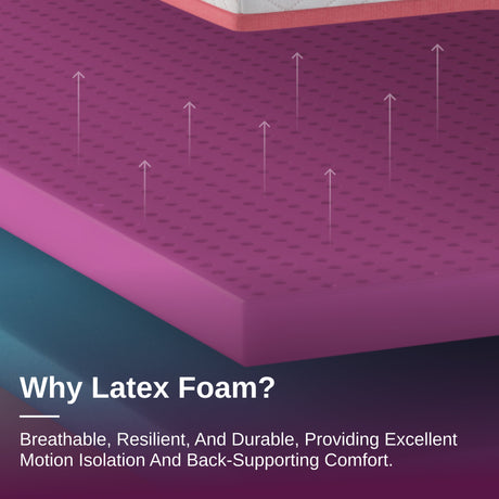 Elite Series Mark Latex Foam Mattress by NapQueen at Eve Furniture