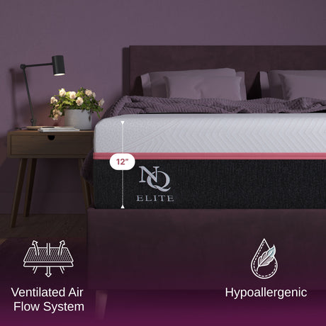 Elite Series Mark Latex Foam Mattress by NapQueen at Eve Furniture