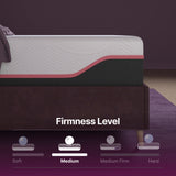 Elite Series Mark Latex Foam Mattress by NapQueen at Eve Furniture