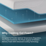 Elite Series Mild Gel Foam Mattress by NapQueen at Eve Furniture