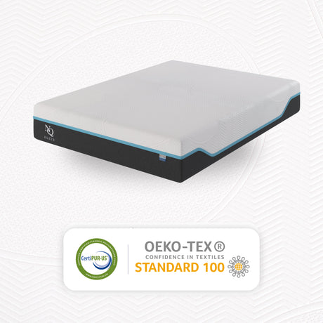 Elite Series Mild Gel Foam Mattress by NapQueen at Eve Furniture