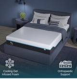 Elite Series Mild Gel Foam Mattress by NapQueen at Eve Furniture