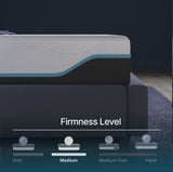 Elite Series Mild Gel Foam Mattress by NapQueen at Eve Furniture
