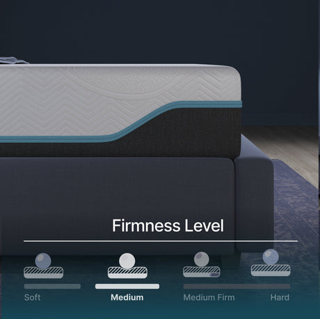 Elite Series Mild Gel Foam Mattress by NapQueen at Eve Furniture