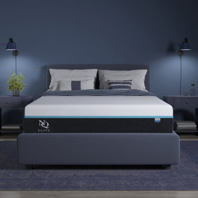 Elite Series Mild Gel Foam Mattress by NapQueen at Eve Furniture