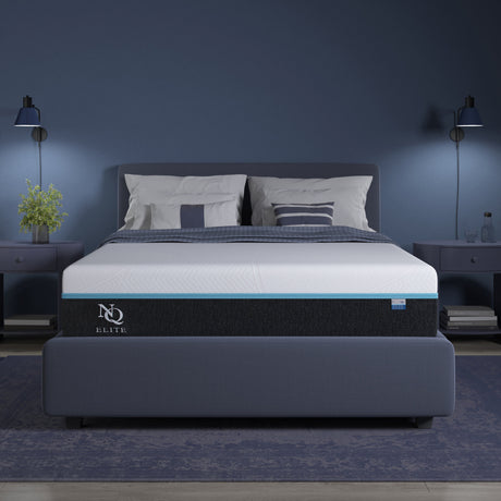 Elite Series Mild Gel Foam Mattress by NapQueen at Eve Furniture