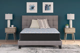 Elite Springs Firm Gray/Blue Twin Mattress by Ashley at Eve Furniture
