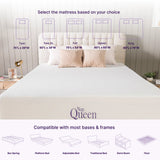 Elizabeth Cooling Gel Memory Foam Mattress by NapQueen at Eve Furniture