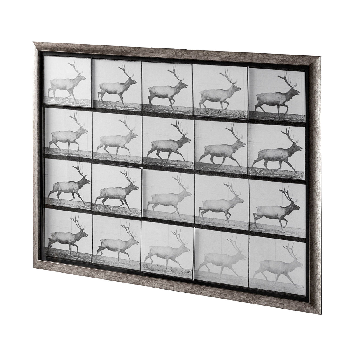 Elk Trotting by Eadweard Muybridge a Hand Embellished Textured Framed Art Print Matted under Glass by Mercana at Eve Furniture