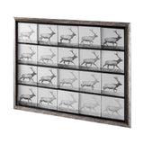 Elk Trotting by Eadweard Muybridge a Hand Embellished Textured Framed Art Print Matted under Glass by Mercana at Eve Furniture