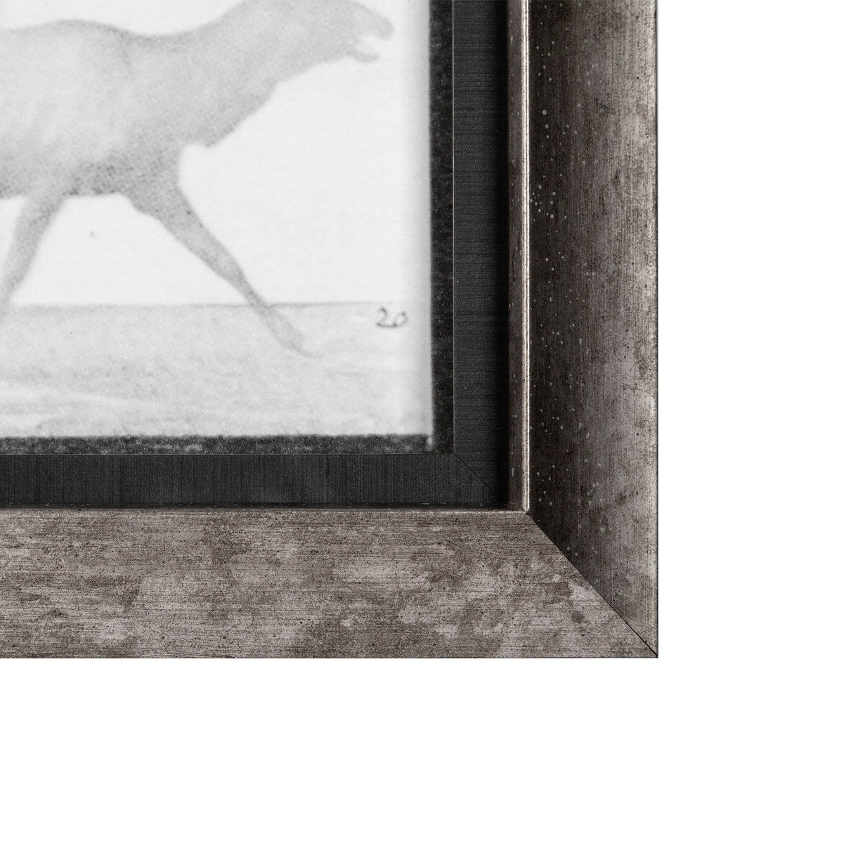 Elk Trotting by Eadweard Muybridge a Hand Embellished Textured Framed Art Print Matted under Glass by Mercana at Eve Furniture