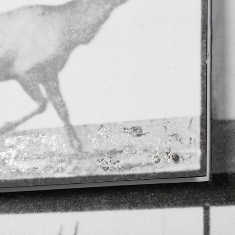 Elk Trotting by Eadweard Muybridge a Hand Embellished Textured Framed Art Print Matted under Glass by Mercana at Eve Furniture