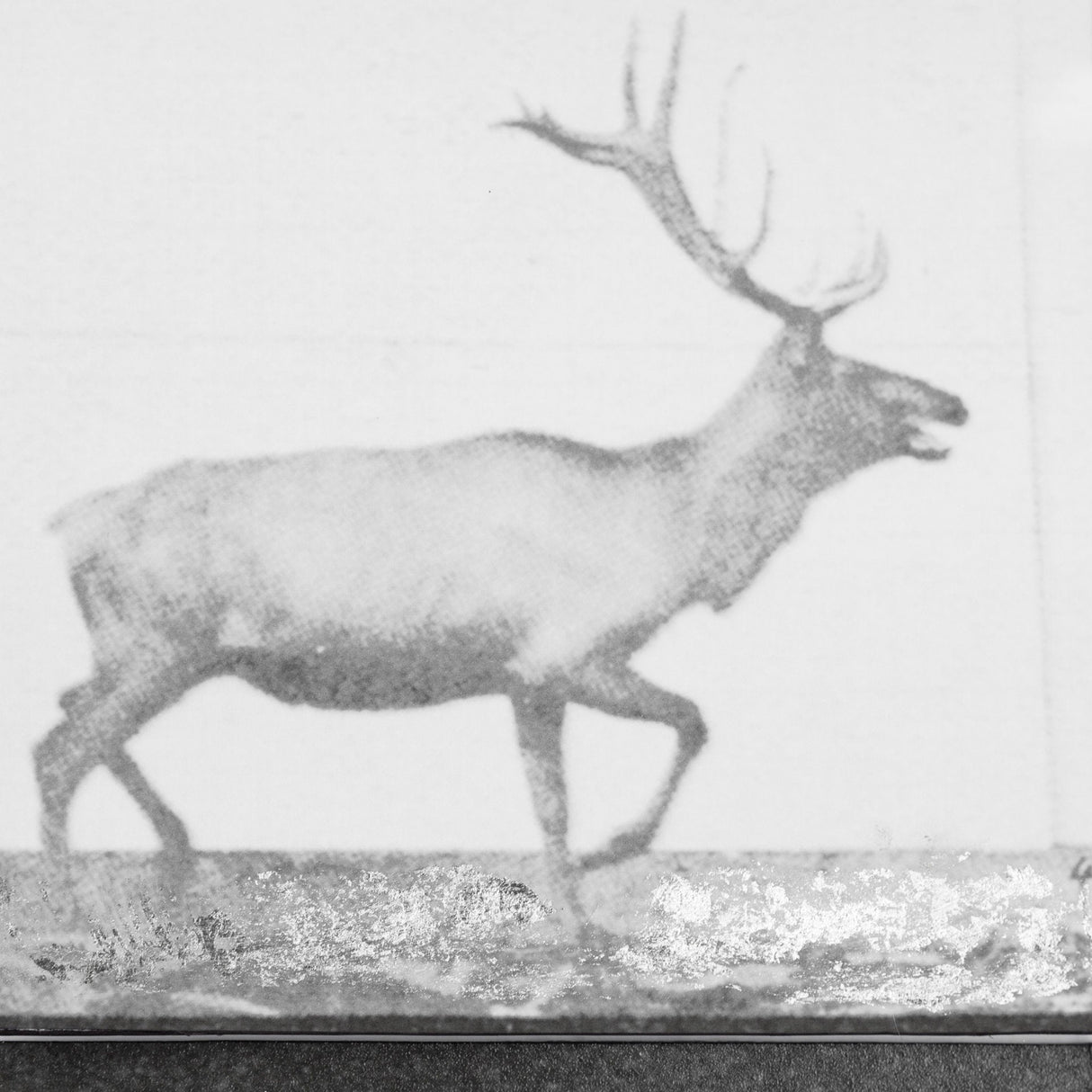 Elk Trotting by Eadweard Muybridge a Hand Embellished Textured Framed Art Print Matted under Glass by Mercana at Eve Furniture