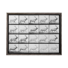 Elk Trotting by Eadweard Muybridge a Hand Embellished Textured Framed Art Print Matted under Glass by Mercana at Eve Furniture