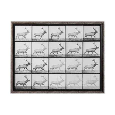 Elk Trotting by Eadweard Muybridge a Hand Embellished Textured Framed Art Print Matted under Glass by Mercana at Eve Furniture