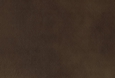 Ellicott Brown Leather Double Reclining Loveseat by Homelegance at Eve Furniture