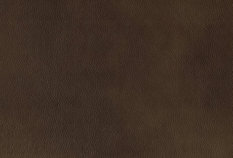 Ellicott Brown Leather Double Reclining Sofa by Homelegance at Eve Furniture