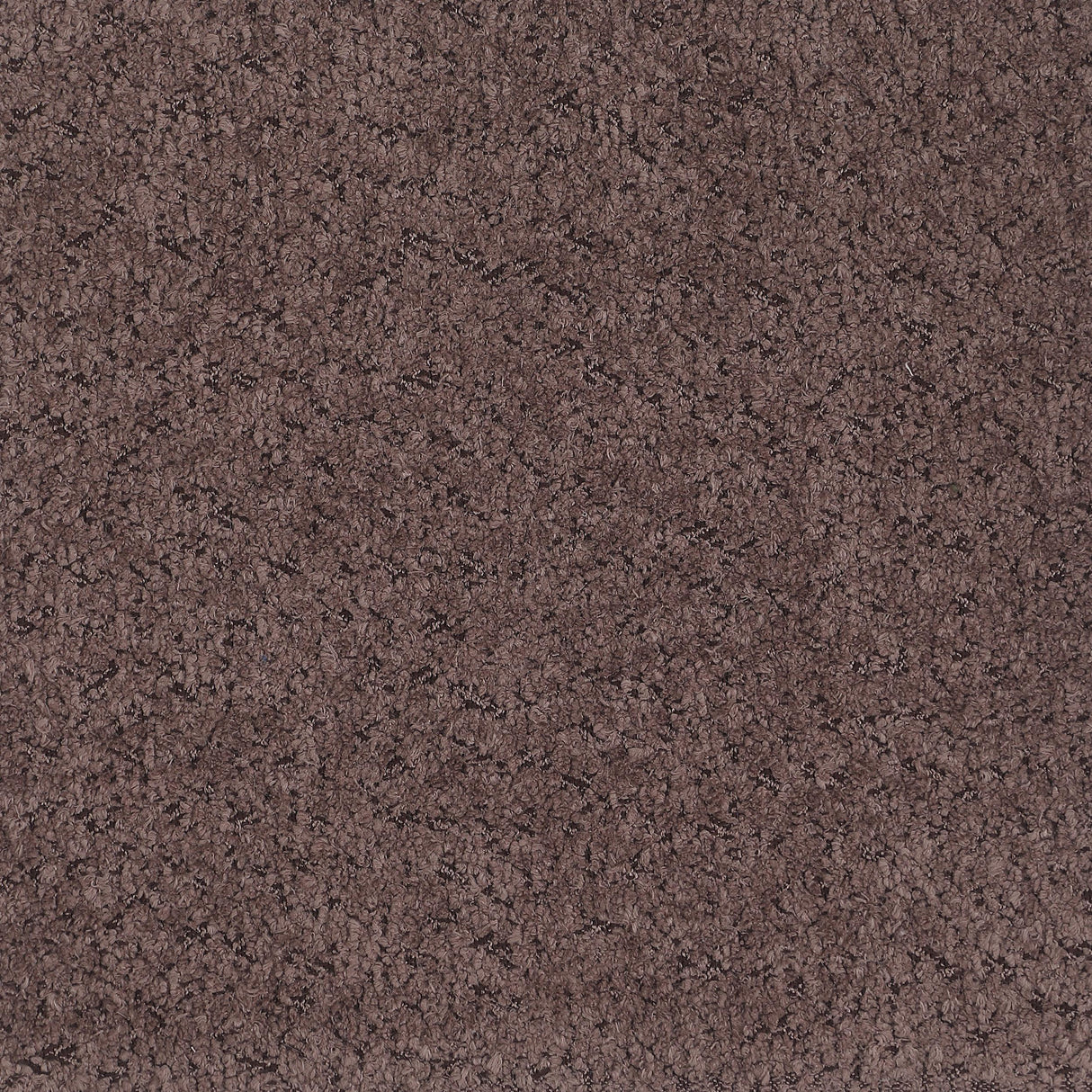 Ellorie Beige Upholstered Curved Living Room Set by Coaster at Eve Furniture