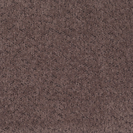 Ellorie Beige Upholstered Curved Living Room Set by Coaster at Eve Furniture