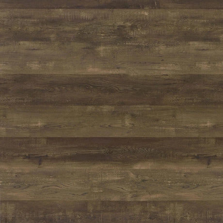 Elmcrest 40-inch Wall Shelf Black/Rustic Oak by Coaster at Eve Furniture