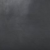 Elodie 24.4L x 33.9W x 30.7H Black Leather W/Black Stain Beech Wood Frame Accent Chair by Mercana at Eve Furniture
