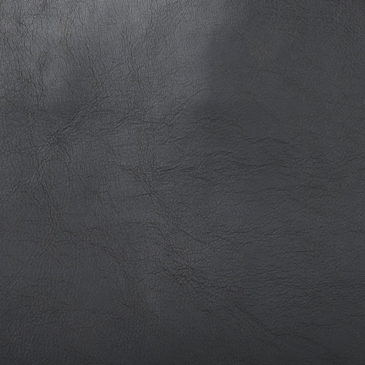 Elodie Black Leather W/Black Stain Beech Wood Frame Accent Chair by Mercana at Eve Furniture