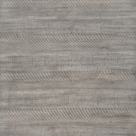 Elodie Upholstered Padded Seat Dining Side Chair Dove Grey and Black (Set of 2) by Coaster at Eve Furniture