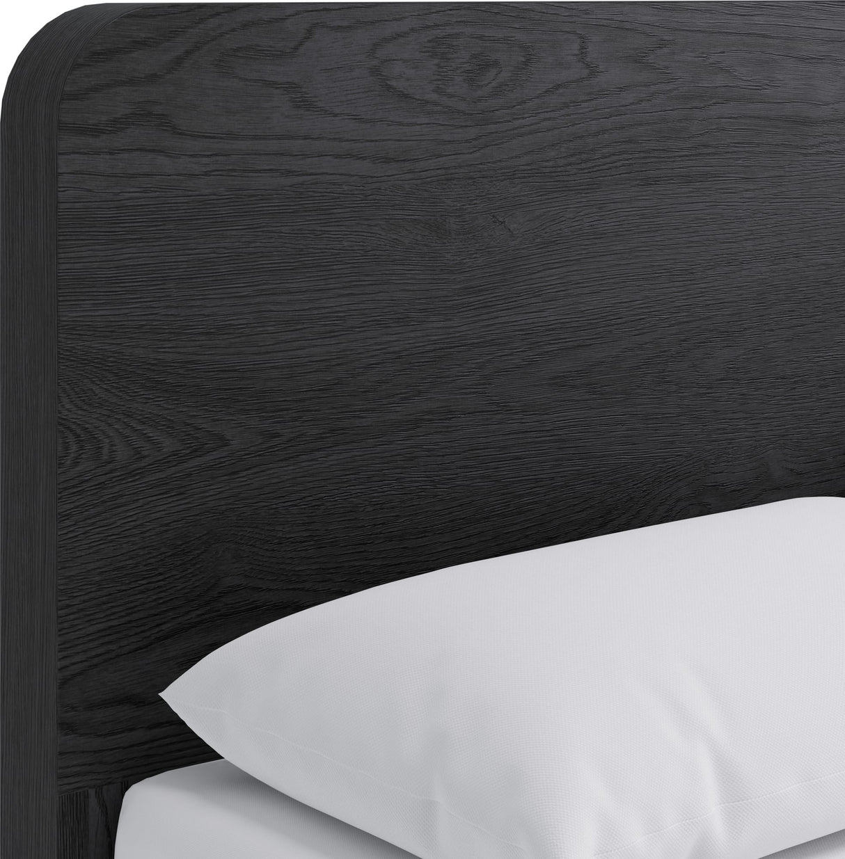 Elora Jet King Ash Wood Platform Bed by Modus Furniture at Eve Furniture