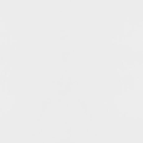 Elsa White/Gold 2-Door Accent Cabinet with Adjustable Shelves by Coaster at Eve Furniture