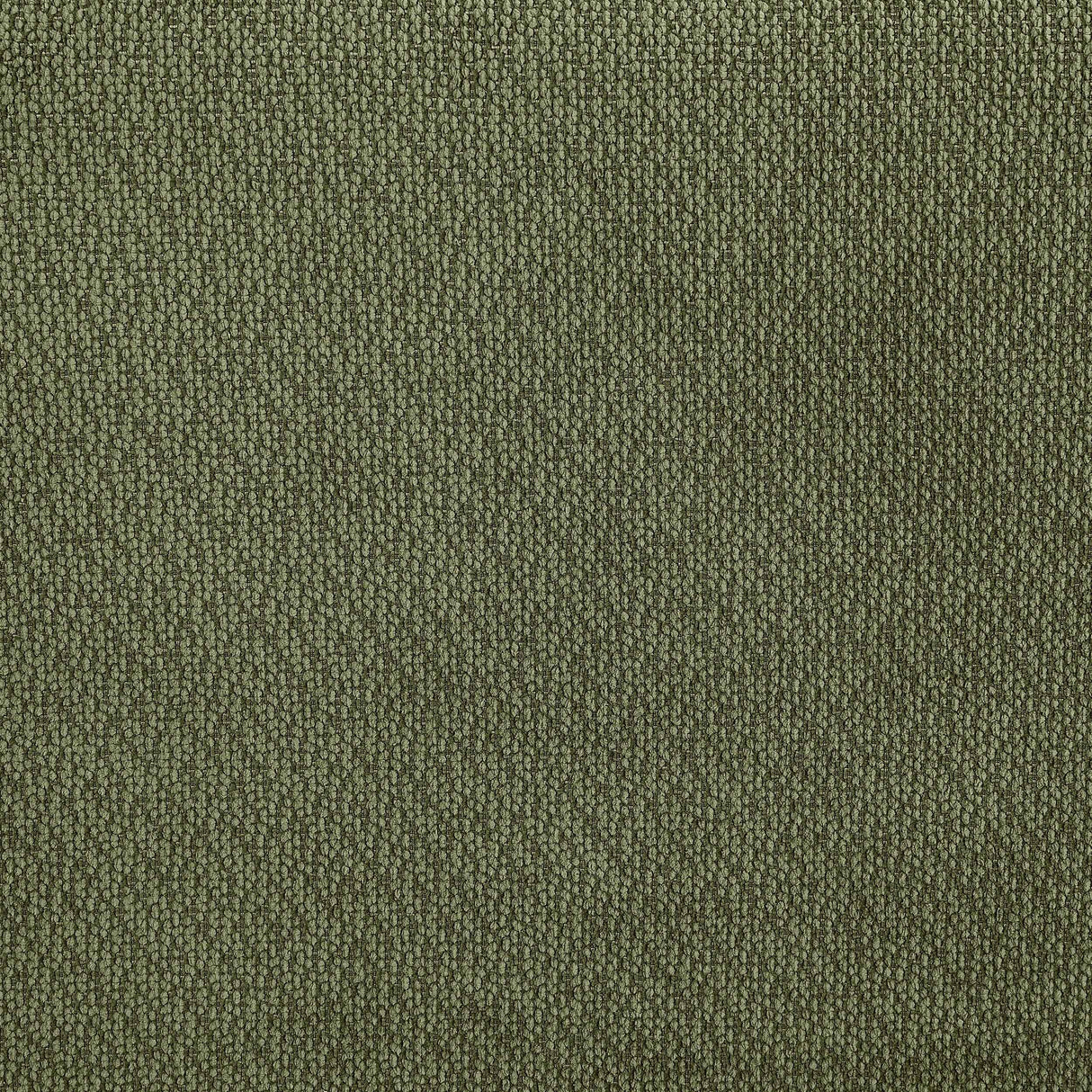 Elysia Green Chenille Upholstered Modular Lounge Loveseat by Coaster at Eve Furniture