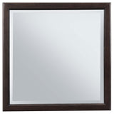 Emberlyn Dresser Mirror Brown