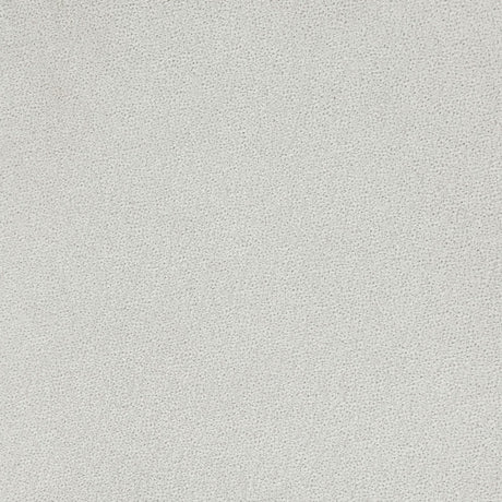 Emma Upholstered Dining Arm Chair Fog Grey and Black (Set of 2) by Coaster at Eve Furniture