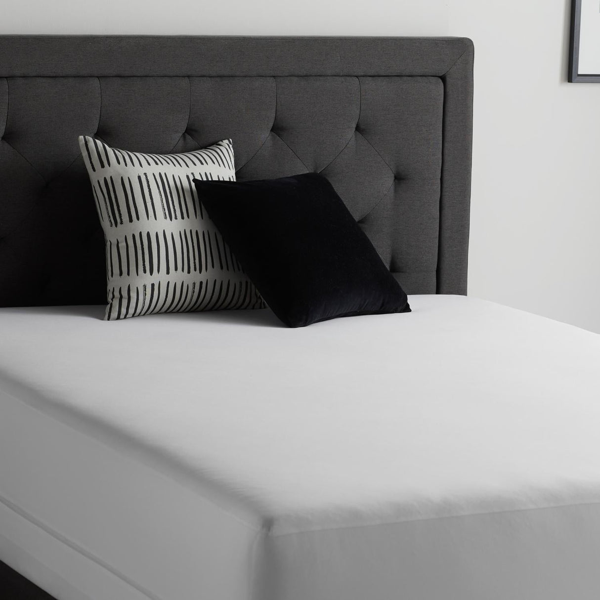 Encase 360° White Cal King Mattress Protector by Malouf at Eve Furniture