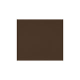 Enzo Brown Outdoor Adjustable Lounge Chair by Moe's Home at Eve Furniture