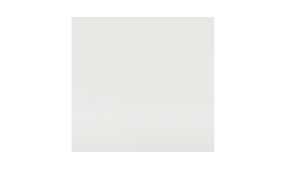 Enzo Outdoor Adjustable Lounge Chair White by Moe's Home at Eve Furniture