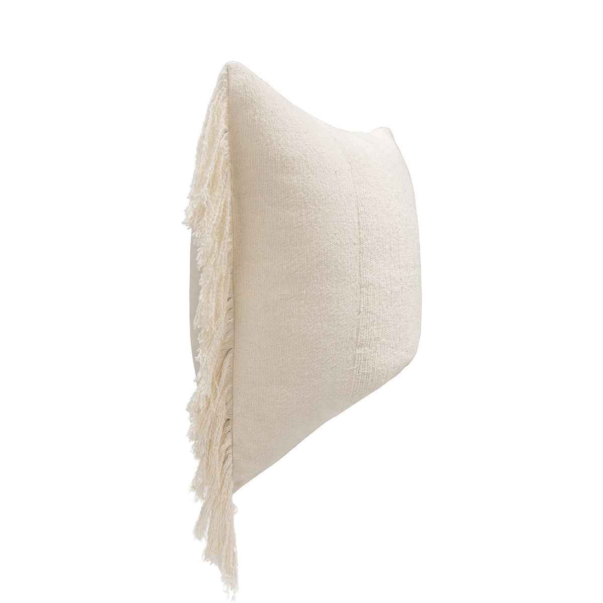 EQ Volta Ivory 22x22 Throw Pillow (Set of 2) by Classic Home at Eve Furniture
