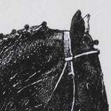 Equestrian Etching IV by Mercana Studio Hand-Embellished Textured Framed Artwork Matted under Glass by Mercana at Eve Furniture