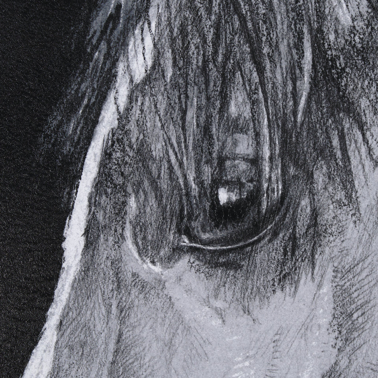 Equestrian Portrait by Mercana Studio Hand Embellished Textured Framed Photo Art Print Matted under by Mercana at Eve Furniture