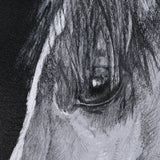 Equestrian Portrait by Mercana Studio Hand Embellished Textured Framed Photo Art Print Matted under by Mercana at Eve Furniture