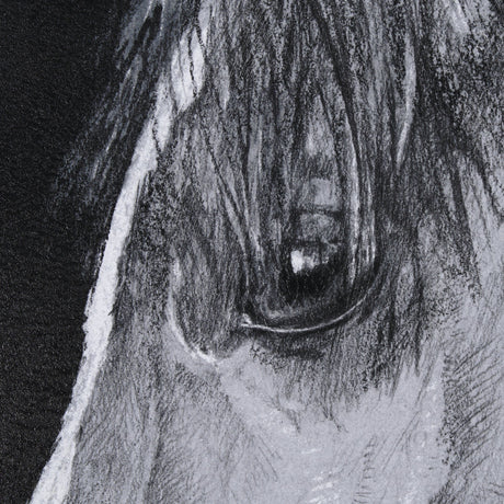 Equestrian Portrait by Mercana Studio Hand Embellished Textured Framed Photo Art Print Matted under by Mercana at Eve Furniture